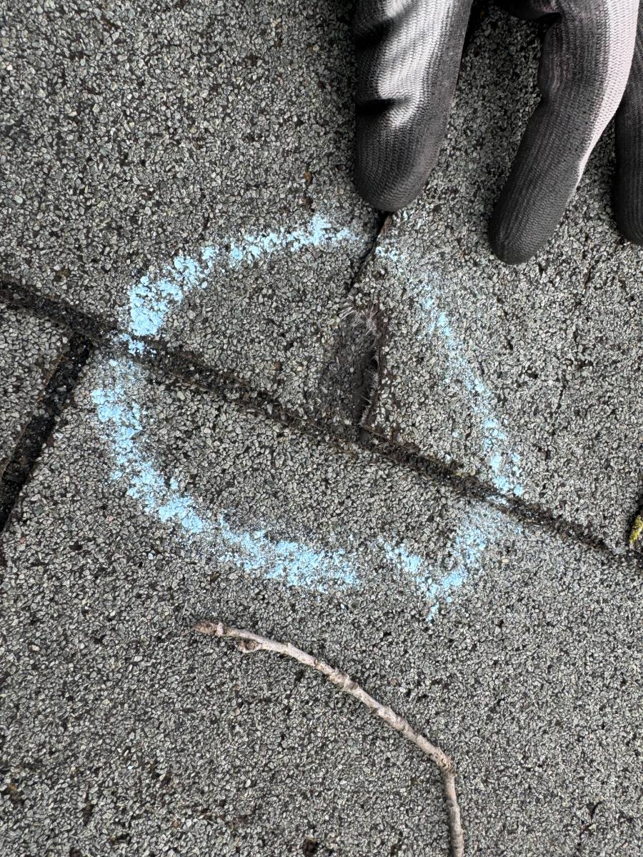 Chalk marking a crease line across asphalt shingle courses with torn mat fibers at the fracture