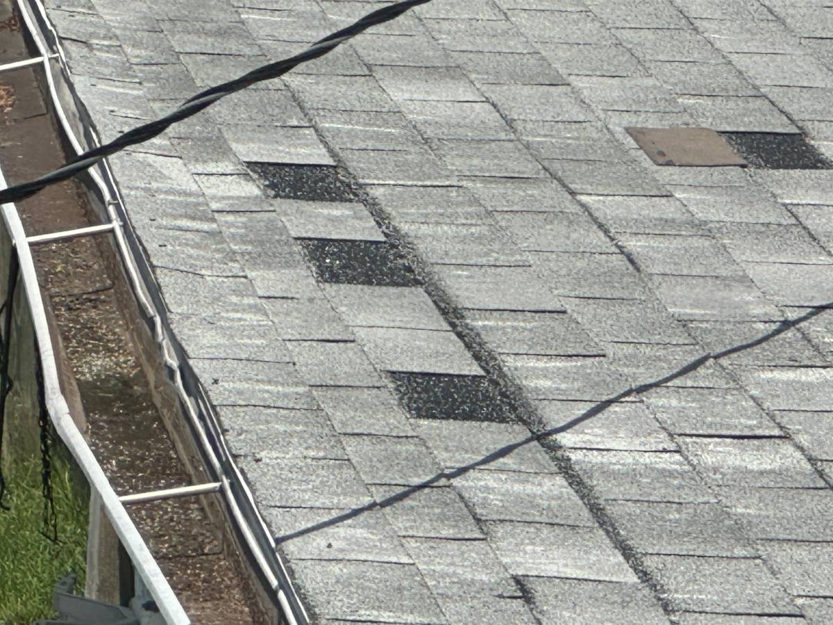 Wide view of a shingle slope with several tabs missing and underlayment exposed